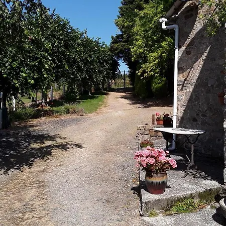 Bocage